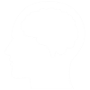 human brain
